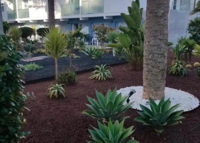 Bristol Sunset Private Corralejo